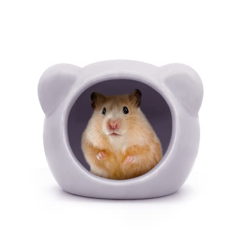 Andiker Keramik-Hamsterhaus, niedliche Tierform, Hamsterhöhle, Sommer, cooles Kleintier-Versteck für Zwerghamster, Rennmäuse, Chinchilla, goldener Seidenbär (lila) von Andiker