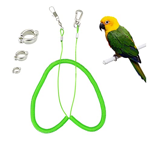 Andiker Lenkseil für Papageien, 5 m lange Papageienfußkette für Flugtraining, Trainingsgeschirr mit elastischem Zugkordel, Anti-Biss, für Vögel Starre (grün) von Andiker