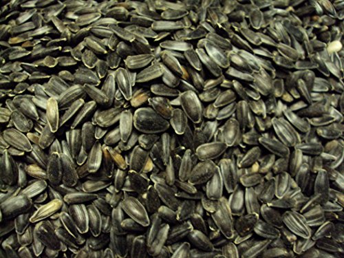 Andys-Nagerparadies Sonnenblumenkerne schwarz 25kg Winterstreufutter für Wildvögel von Andys-Nagerparadies