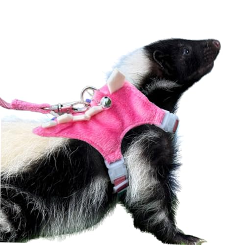 Anelekor Frettchen-Geschirr und Leine, Set für Kleintiere, Weste mit sicherer Glocke, Dinosaurier-Form, Laufkleidung für Baby, Kaninchen, Meerschweinchen, Teetasse, Chihuahua, Maus und andere kleine von Anelekor