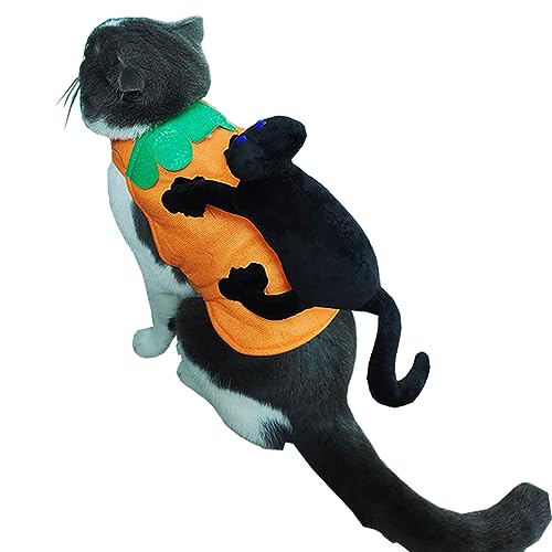 Anelekor Halloween-Kostüm für Katzen, für Halloween, Cosplay, mit Kürbis-Kleidung, mit Cartoon-Motiv, Schwarz von Anelekor