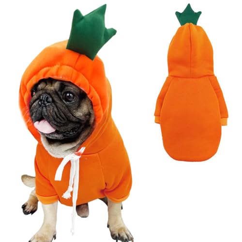 Anelekor Happy Dog Kapuzenpullover, lustige Hundekleidung für kleine Hunde, Mädchen, Jungen, Kapuzen-Sweatshirt, Mantel, Winter, Katzen-Outfit, Halloween, Frosch-Kostüm für Kätzchen, Chihuahua, Anelekor Happy Dog Kapuzenpullover, lustige Hundekleidung für kleine Hunde, Mädchen, Jungen, Kapuzen-Sweatshirt, Mantel, Winter, Katzen-Outfit, Halloween, Frosch-Kostüm für Kätzchen, Chihuahua, von Anelekor