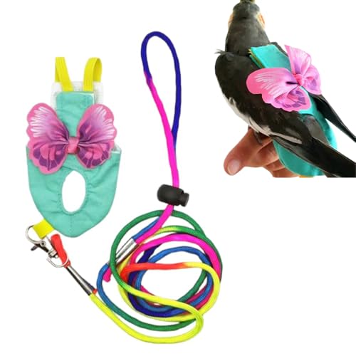Anelekor Haustier-Windelgeschirr, verstellbares Papageiengeschirr und Leine, Set für Nymphensittiche, Fluganzug mit 152,4 cm langer Leine, Fliege, fliegende Kleidung für Sittiche, Kakadus von Anelekor