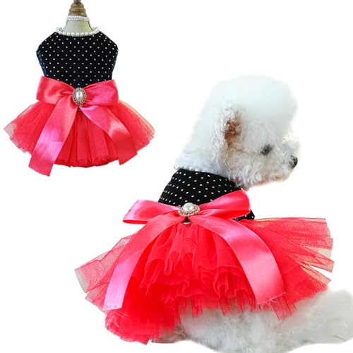 Anelekor Hundekleid mit D-Ring, für Welpen, Hochzeitskleidung für kleine Hunde, Mädchen, Katzen-Geburtstags-Outfit, rotes Tutu-Partykleid für Kätzchen, Chihuahua, Yorkie, Zwergspitz, Schwarz, Größe XS Anelekor Hundekleid mit D-Ring, für Welpen, Hochzeitskleidung für kleine Hunde, Mädchen, Katzen-Geburtstags-Outfit, rotes Tutu-Partykleid für Kätzchen, Chihuahua, Yorkie, Zwergspitz, Schwarz, Größe XS von Anelekor