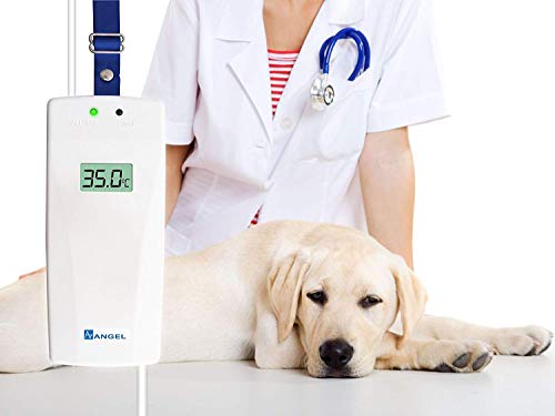Tierärztlicher Flüssigkeitswärmer mit Temperaturkontrolle, Käfig-Montage-Klemmhalterung, Vet IV Infusion, Anzeige in Fahrenheit oder Celius Tierärztlicher Flüssigkeitswärmer mit Temperaturkontrolle, Käfig-Montage-Klemmhalterung, Vet IV Infusion, Anzeige in Fahrenheit oder Celius von Angel Veterinary