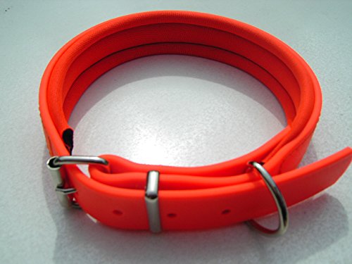 MJH Biothane Halsband glänzend, gefüttert, vernäht, verstellbar 38mm mit Neopren orange unterlegt (40-46cm) von Angel for Pets