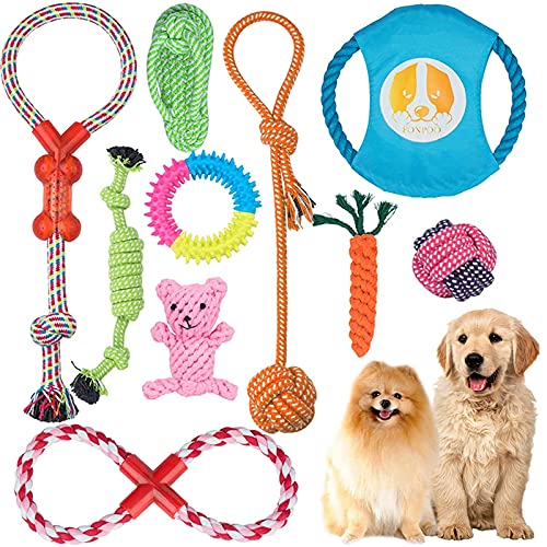 Angelland Hunde-Kauspielzeug für kleine Hunde, interaktives Seilspielzeug für Welpen, Tauziehen, Zahnreinigungsspielzeug, Geschenk-Set für mittelgroße Hunde (10 Stück) von Angelland