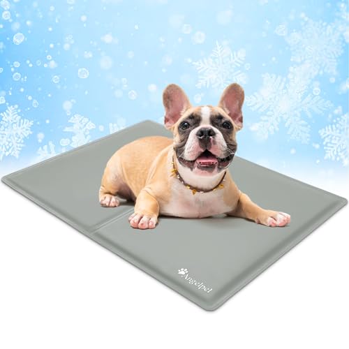 Angelpet Kühlmatte Hund, M 65x50cm – Ungiftige Selbstkühlende Gelmatte Bett, Langlebige wasserdichte Kühlmatte für Hunde & Katzen im Sommer, Kein Wasser oder Kühlen Erforderlich (Grau) von Angelpet