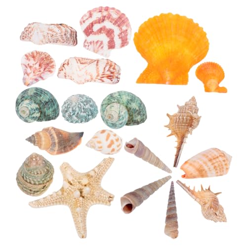 Angoily Aquarium Natürliche Muschel Aquarium Landschaftsbau Aquarium Ornament Set Angoily Aquarium Natürliche Muschel Aquarium Landschaftsbau Aquarium Ornament Set von Angoily