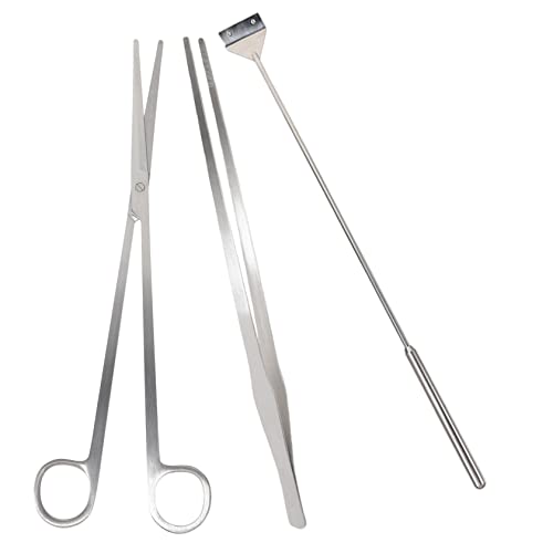 Angoily 1 Satz Aquatisches Trimmwerkzeug metallschere Reinigungswerkzeug mit langem Griff Aquarium Pinzette Aquarienwerkzeuge Algenschere für Aquarien Glas Schaber Angoily 1 Satz Aquatisches Trimmwerkzeug metallschere Reinigungswerkzeug mit langem Griff Aquarium Pinzette Aquarienwerkzeuge Algenschere für Aquarien Glas Schaber von Angoily