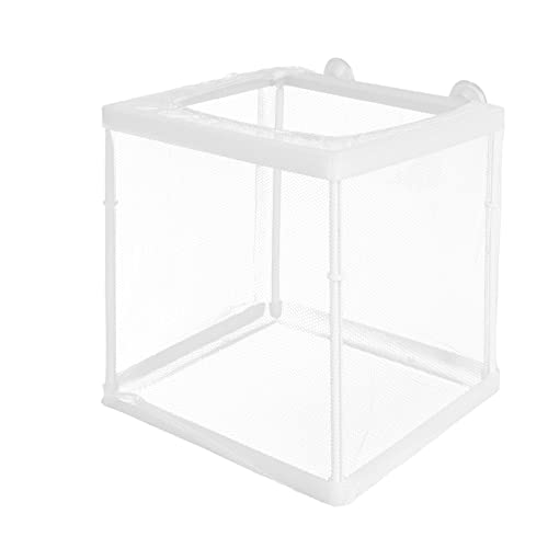 Angoily Aquarienteiler Aquarium 1 Stück Box Isolationsbox Inkubationsbox Weiß Umweltkleber Inkubator Mini Trennwand Für Aquarien Fischaquarium von Angoily