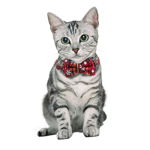 Angoily 2stücke Weihnachts-hundehalsband Und Katzenhalsband Verstellbar Kleine Und Mittelgroße Haustiere Und Langlebig Für Festliche Anlässe Angoily 2stücke Weihnachts-hundehalsband Und Katzenhalsband Verstellbar Kleine Und Mittelgroße Haustiere Und Langlebig Für Festliche Anlässe von Angoily