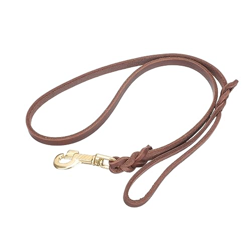 Angoily 2st Hundeleine Zugseil Für Hunde Trainingsleine Für Hunde Katze Haustierleine Aus Leder Haustier Lange Leine Gürtel Für Schnallen Große Hunde Anleinen Hund Eisen Großer Hund Angoily 2st Hundeleine Zugseil Für Hunde Trainingsleine Für Hunde Katze Haustierleine Aus Leder Haustier Lange Leine Gürtel Für Schnallen Große Hunde Anleinen Hund Eisen Großer Hund von Angoily