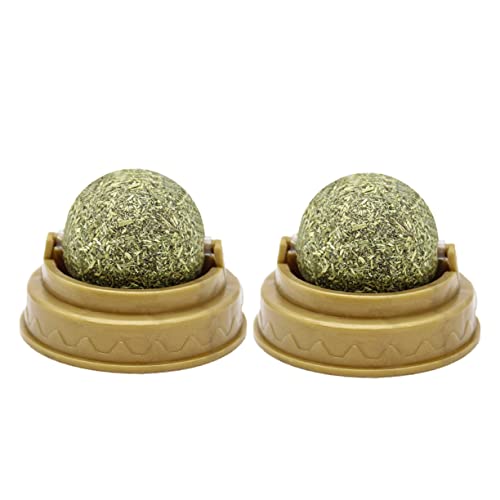 Angoily 2St Lebende Aquarienpflanzen Katze leckt Snack Health Wellness Tooth Leckereien für Katzen Katzenbissball Katze leckt Ball Backenzahn Katzenspielzeug Beschleuniger Angoily 2St Lebende Aquarienpflanzen Katze leckt Snack Health Wellness Tooth Leckereien für Katzen Katzenbissball Katze leckt Ball Backenzahn Katzenspielzeug Beschleuniger von Angoily
