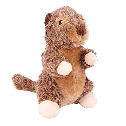 Angoily 3 Stück Haustier-backenzahnspielzeug Mit Einzigartigem Design Kauspielzeug Für Hunde Plüschspielzeug Für Welpen Und Katzen Haustierspielzeug Für Hunde Angoily 3 Stück Haustier-backenzahnspielzeug Mit Einzigartigem Design Kauspielzeug Für Hunde Plüschspielzeug Für Welpen Und Katzen Haustierspielzeug Für Hunde von Angoily
