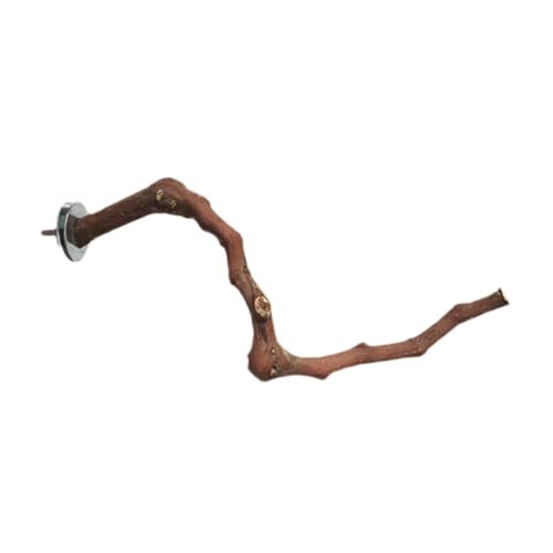 Angoily 3 Stücke Haustier Vogel Training Bar Stehend Stange Papagei Barsch Stange Für Vogel Käfig Zubehör Angoily 3 Stücke Haustier Vogel Training Bar Stehend Stange Papagei Barsch Stange Für Vogel Käfig Zubehör von Angoily