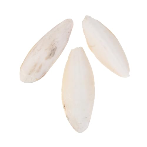 Angoily 3 STK Sittich Liefert Cuttlebones Sittich Tintenfischknochen Sittichstangen Für Käfig Vogelschnabelstein Sittichspielzeug Für Käfig Cuttlebone Für Schildkröten Vögel Haustier Vogel Angoily 3 STK Sittich Liefert Cuttlebones Sittich Tintenfischknochen Sittichstangen Für Käfig Vogelschnabelstein Sittichspielzeug Für Käfig Cuttlebone Für Schildkröten Vögel Haustier Vogel von Angoily