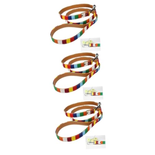 Angoily Welpenhalsband 3st Keilriemen Trainingsleine Für Haustiere Regenbogenleine Trainingsleine Für Hunde Hundetraining Führen Heimtiertraining Führen Leinen Anti-verloren Halsband von Angoily