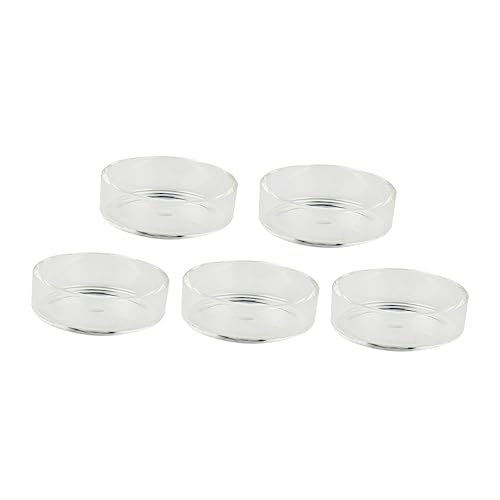 Angoily 5stücke Teiliges Runder Futter-Schalen Aus Kristall Für Garnelen Transparente Futterbehälter Für Aquarien Geeignet Für Garnelen Fische Und Reptilien Dekorative Angoily 5stücke Teiliges Runder Futter-Schalen Aus Kristall Für Garnelen Transparente Futterbehälter Für Aquarien Geeignet Für Garnelen Fische Und Reptilien Dekorative von Angoily