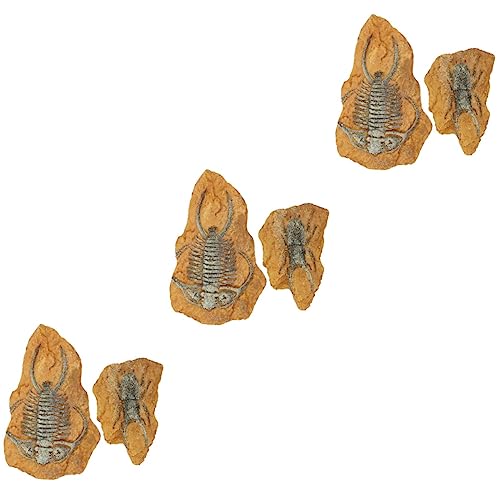 Angoily 6 STK Simuliertes Harzfossil Bärtiger Drache Lebensraum Dekor Schildkrötenharz Ruhend Simulierte Trilobiten-fossilgesteine Aquarium Landschaftsbau Kind Haushalt Kleines Haustier von Angoily