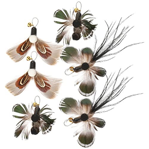 Angoily 6stücke Interaktives Katzenspielzeug Teiliges Ersatzköpfe Mit Insekten-Design Für Katzenangel Fördert Aktivität Und Spieltrieb Für Kätzchen Und Erwachsene Katzen Angoily 6stücke Interaktives Katzenspielzeug Teiliges Ersatzköpfe Mit Insekten-Design Für Katzenangel Fördert Aktivität Und Spieltrieb Für Kätzchen Und Erwachsene Katzen von Angoily