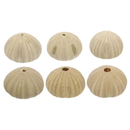 Angoily Elegante Seeigel-Dekorationen Natürliche Aquarium-Ornamente Bastelbedarf 6 Stück von Angoily