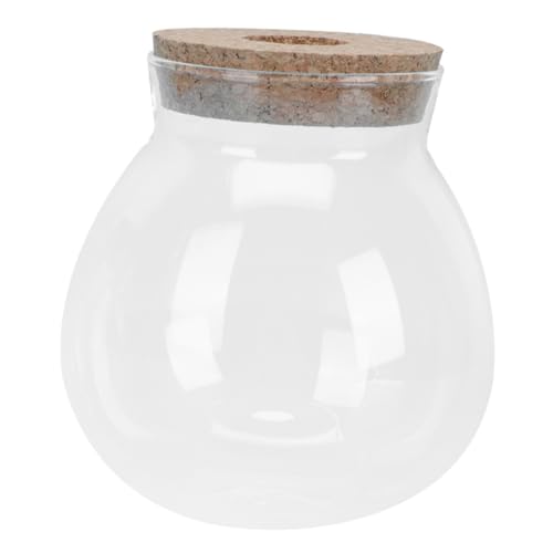 Angoily Schüssel Glas Terrarium Aquarium Tank Hydrokultur Pflanzen Container für Wohnzimmer Angoily Schüssel Glas Terrarium Aquarium Tank Hydrokultur Pflanzen Container für Wohnzimmer von Angoily