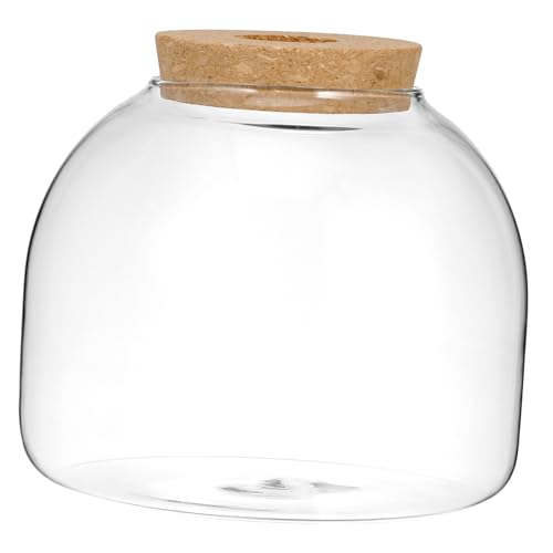 Angoily Flasche Aus Korkglas Moos Terrarium Vermehrungsstation Für Pflanzen Terrarium Bausatz Selber Machen Mikro-landschaftsflasche Dekorative Vasen Pflanzenflasche Kleiner Behälter Holz von Angoily