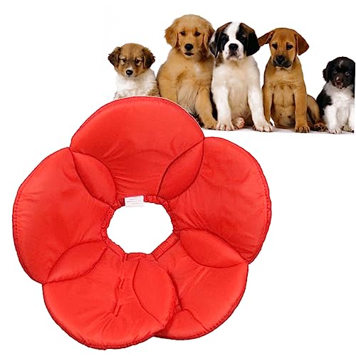 Angoily Hundehalsband groß Haustierhalsband aus Schwammblumen verscho spülschwamm Spong Polyester Schutzhülle Anti-Biss-Halsband für Hunde die Blumen rot von Angoily