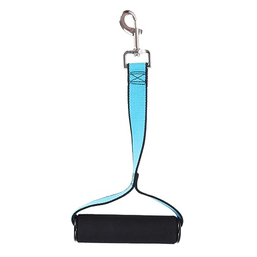 Angoily Hundeleine Zum Trainieren Kleiner Hunde Weicher Griff Leicht Elastisch Metallhaken für Die Brust Ideal für Das Fersentraining und Tierarztbesuche Angoily Hundeleine Zum Trainieren Kleiner Hunde Weicher Griff Leicht Elastisch Metallhaken für Die Brust Ideal für Das Fersentraining und Tierarztbesuche von Angoily