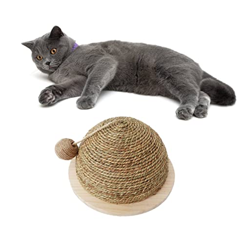 Angoily Haustierzubehör Spielzeug Für Haustiere Den Ball Schnappen Die Katze Bambus Katzenkratzbrett von Angoily