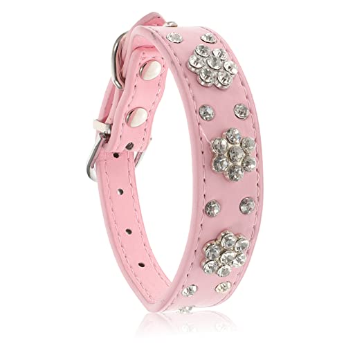 Angoily Hundehalsbänder für Welpen verstellbares Haustierhalsband verstellbare Welpenhalsbänder für Wurf Hund aus Strass Welpenhalsband Strass hundehalsband einstellbar Strasssteine Angoily Hundehalsbänder für Welpen verstellbares Haustierhalsband verstellbare Welpenhalsbänder für Wurf Hund aus Strass Welpenhalsband Strass hundehalsband einstellbar Strasssteine von Angoily