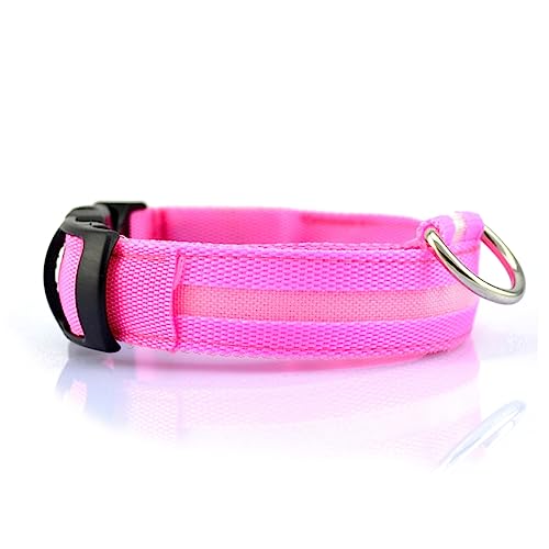 Angoily Im Dunkeln Leuchtendes Haustierhalsband Mit -Beleuchtung Hundehalsband Für Die Nacht Größe Und Farbe Angoily Im Dunkeln Leuchtendes Haustierhalsband Mit -Beleuchtung Hundehalsband Für Die Nacht Größe Und Farbe von Angoily