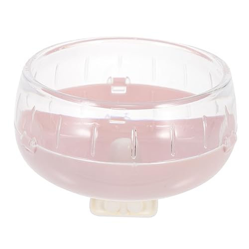 Angoily Hamster Laufrad Leises Rutschfestes Übungsrad Für Zwerghamster Meerschweinchen Und Andere Kleintiere Für Innenräume Fördert Gesundheit Und Aktivität von Angoily