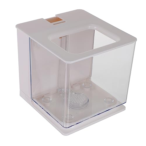 Angoily Kompaktes Transparentes Aquarium Aus Acryl Für Fischzucht Stilvoll Jedem Schont Fische Und Pflanzen Einfache Pflege Ohne Wasserwechsel Angoily Kompaktes Transparentes Aquarium Aus Acryl Für Fischzucht Stilvoll Jedem Schont Fische Und Pflanzen Einfache Pflege Ohne Wasserwechsel von Angoily
