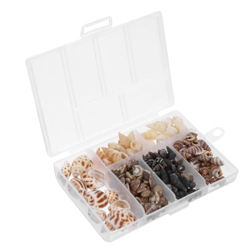 Angoily Natürliche Conch Schalen Dekorationen Für Aquarium Fischtank-Ornamente Geeignet Für Süß Und Meerwasser Einfache Landschaftsbau-Dekoration Angoily Natürliche Conch Schalen Dekorationen Für Aquarium Fischtank-Ornamente Geeignet Für Süß Und Meerwasser Einfache Landschaftsbau-Dekoration von Angoily