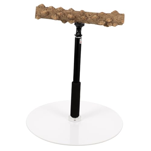 Angoily Papageienbarsch Zubehör Für Vogelgymnastik Papagei Spielständer Vogel Steht Für Papageien Trainingsrahmen Für Papageien Vogelspiel-fitnessspielzeug Vögel Metall Einstellbar Angoily Papageienbarsch Zubehör Für Vogelgymnastik Papagei Spielständer Vogel Steht Für Papageien Trainingsrahmen Für Papageien Vogelspiel-fitnessspielzeug Vögel Metall Einstellbar von Angoily
