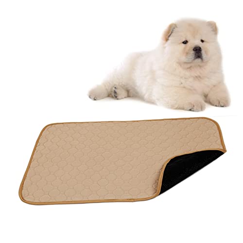 Angoily Pet Pee Pads für Hunde und Katzen Große Größe Waschbar Trainingspad und Ohne Futter Beige Angoily Pet Pee Pads für Hunde und Katzen Große Größe Waschbar Trainingspad und Ohne Futter Beige von Angoily