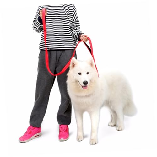 Safety Safe todsicher Jogging Hunde erziehung haustierbedarf beemysafe laufflasche joggen The Security sicherheitsschu keilriemen verdicken Leinen mit dem Hund spazieren gehen Safety Safe todsicher Jogging Hunde erziehung haustierbedarf beemysafe laufflasche joggen The Security sicherheitsschu keilriemen verdicken Leinen mit dem Hund spazieren gehen von Angoily
