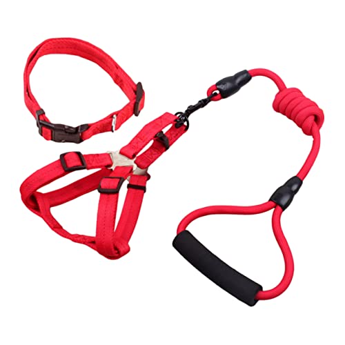 Angoily Satz Pflanzengewichte Hundegeschirr Und Leine Und Leine Für Haustiere Der Hund Fischkescher Für Großes Aquarium Haustier Leine Halsband Hundeleine Angoily Satz Pflanzengewichte Hundegeschirr Und Leine Und Leine Für Haustiere Der Hund Fischkescher Für Großes Aquarium Haustier Leine Halsband Hundeleine von Angoily