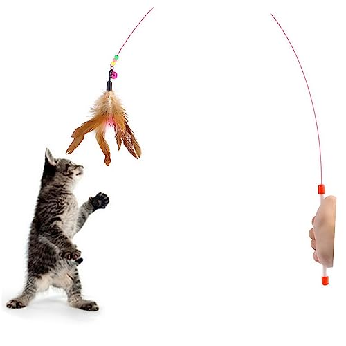 Angoily Katzenangel Mit Glocken Und Perlen Interaktives Katzenspielzeug Für Kätzchen Stab Zufällige Farben Fördert Bewegung Und Spieltrieb Angoily Katzenangel Mit Glocken Und Perlen Interaktives Katzenspielzeug Für Kätzchen Stab Zufällige Farben Fördert Bewegung Und Spieltrieb von Angoily