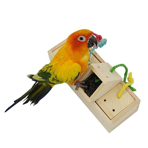 Angoily interaktives Spielzeug Interactive Toys Spielzeuge Werkzeug zum Füttern von Papageien Vogelbissspielzeug Bissfest Utensilien Nahrungssuche Vogel liefert Bambus von Angoily