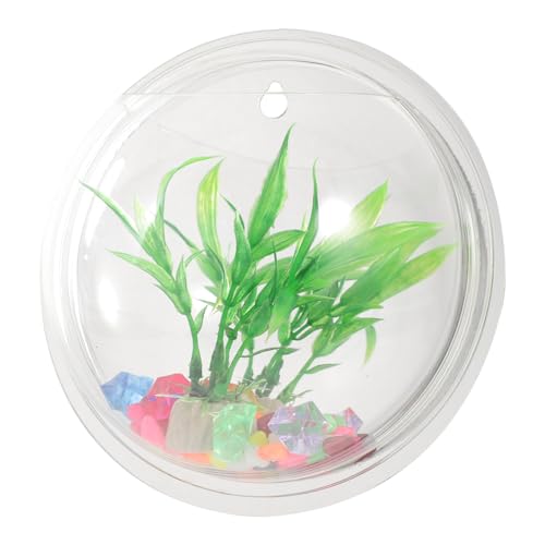 Angoily Wandbehang Acryl Pflanzer Aquarium Blumenvase 17cm Glänzend Zufällige Art Angoily Wandbehang Acryl Pflanzer Aquarium Blumenvase 17cm Glänzend Zufällige Art von Angoily