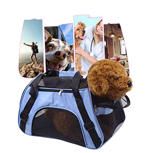 Angoily Tragbare Transportbox Für Haustiere Katzen Und Hunde Mit Netz Sicherer Einstieg Bequem Für Unterwegs Größe S Geeignet Für Outdoor-aktivitäten von Angoily