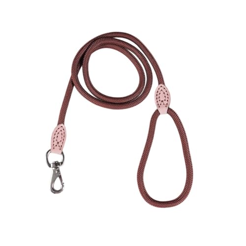 Angoily Leine Leinen Trainingsleine Für Hunde Heimtierbedarf Hochleistungsleine Outdoor-aktivitäten Runde Seilleinen EIN Risiko Eingehen Trainingsleine Aus Nylon Abenteuer Haustier Gürtel von Angoily