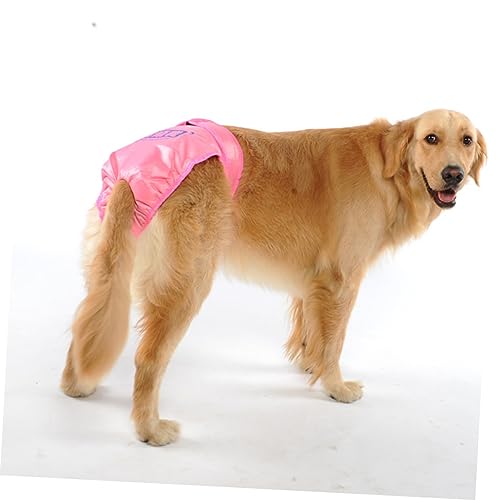 Angoily Windeln für männliche Hunde stark absorbierende Hundewindeln Welpe Unterhosen Hygieneunterwäsche für Hunde Pet körperliche Hose großer Hund Physiologische Hosen Menstruationshose Angoily Windeln für männliche Hunde stark absorbierende Hundewindeln Welpe Unterhosen Hygieneunterwäsche für Hunde Pet körperliche Hose großer Hund Physiologische Hosen Menstruationshose von Angoily