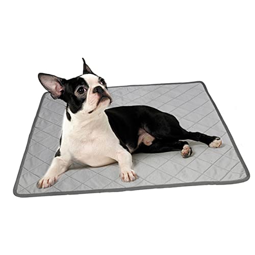 Angoily Kühlmatte Waschbare PIPI-Pads Für Hunde Haustierkissen Hundebett Haustier-urin-pad Kühlpad – Haustierbedarf Größe L Angoily Kühlmatte Waschbare PIPI-Pads Für Hunde Haustierkissen Hundebett Haustier-urin-pad Kühlpad – Haustierbedarf Größe L von Angoily