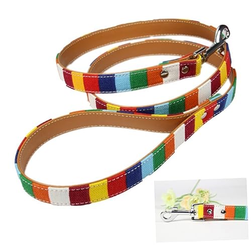 Angoily Rainbow Leash Hundetrainingsleine Starkes Canvas Bequemer Griff und Schnell für Große Hunde von Angoily