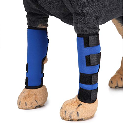 Angoter Hund Vorderfuß Brace Haustier Knieschoner Recover Beine Hund Schutz Heilung Hilft Verhindert Verletzungen Verstauchungen von Angoter