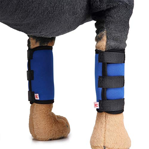 Haustier-Knie-Klammer-Pads Verpackungs-Verband Leg Socken für Hunde entlasten Schmerz von Operation/Arthritis von Angoter